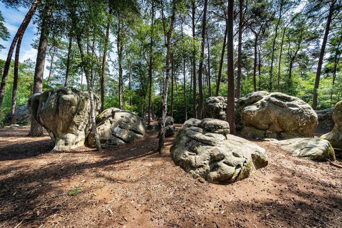 Fontainebleau